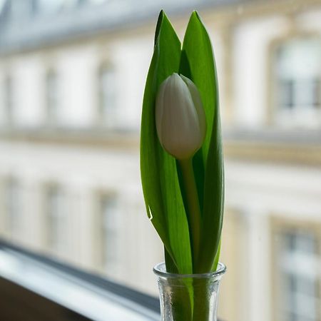 Sankt Andreas Hotel Düsseldorf Esterno foto