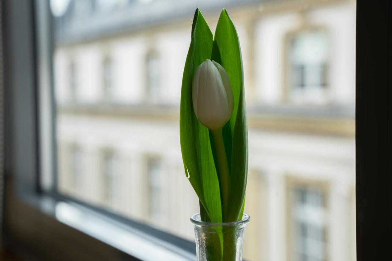 Sankt Andreas Hotel Düsseldorf Esterno foto